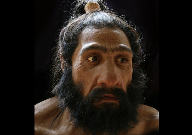 Homo Neanderthalensis